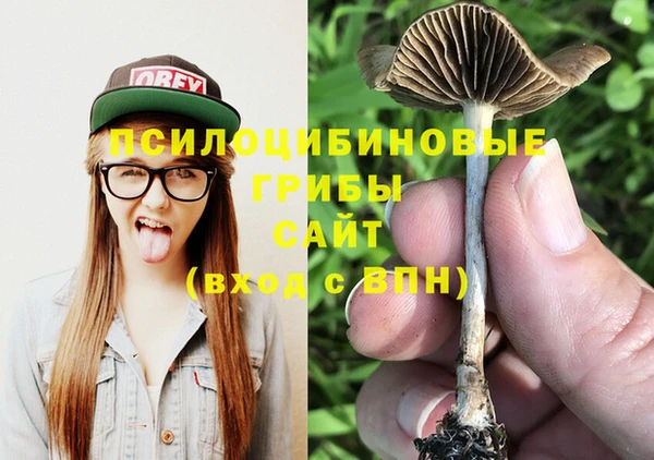каннабис Баксан