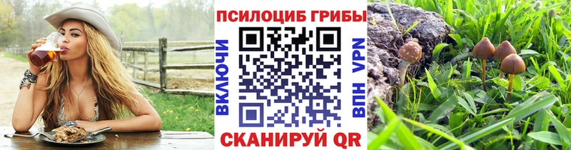 Псилоцибиновые грибы ЛСД  Горно-Алтайск 